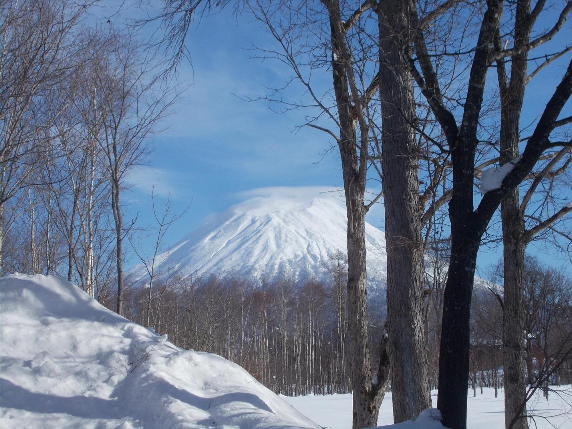 Shirokuma Lodge Niseko